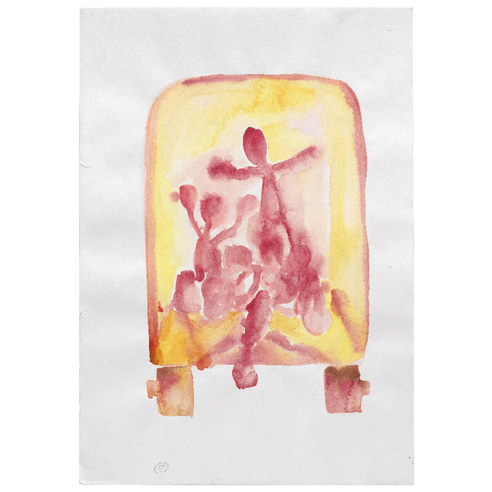 Trasporto carne
