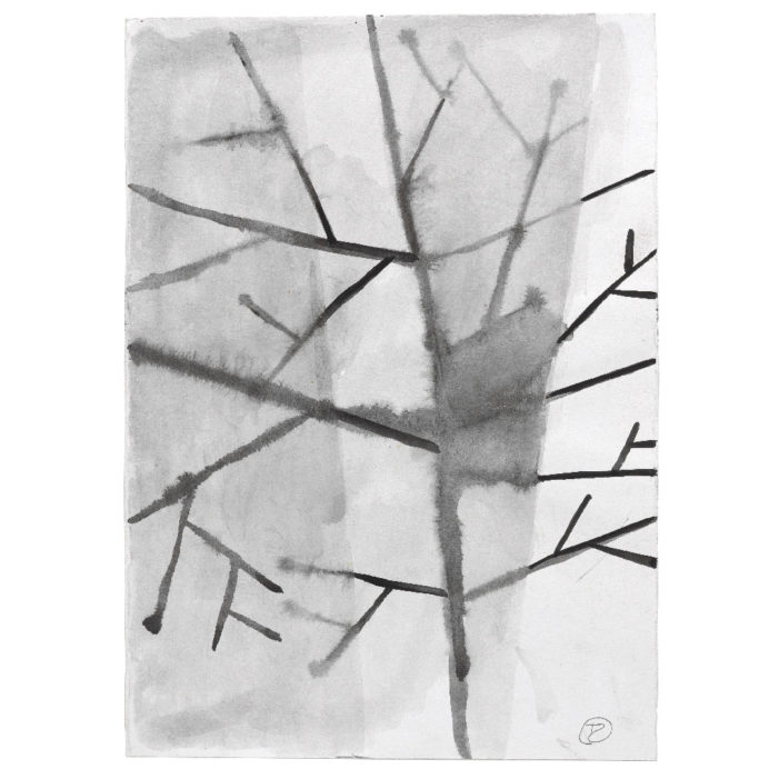 Alberi nella nebbia /1