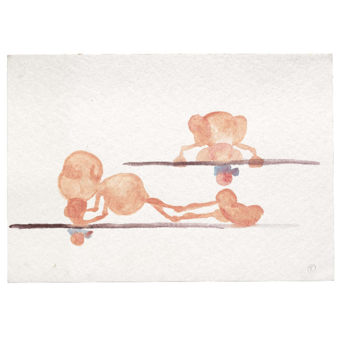 Narciso