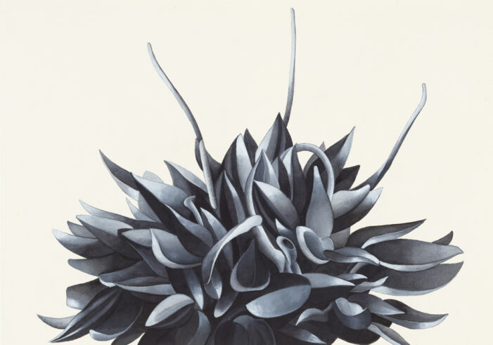Flores /9