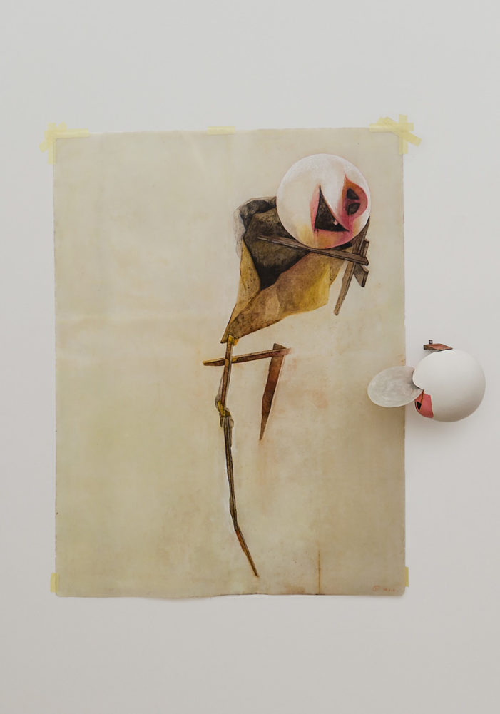 Disegno doppio