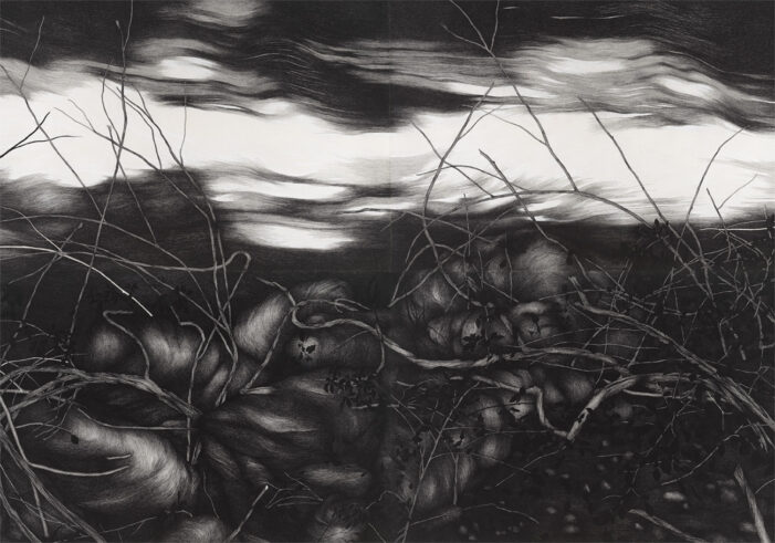 Gli alberi siamo noi /8