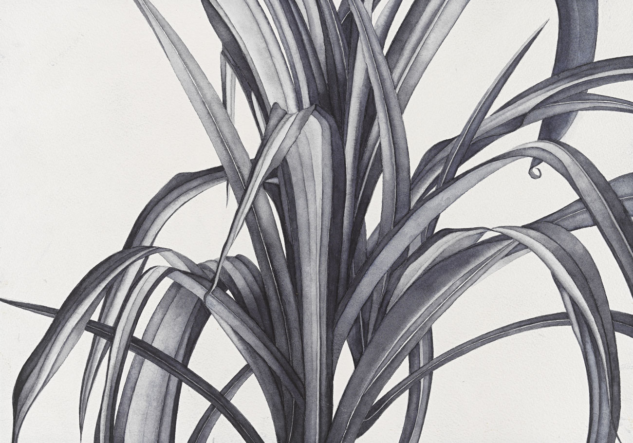 Flores /14 - immagine 1