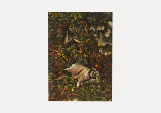 Silvano Tessarollo - La terra raccoglie le foglie