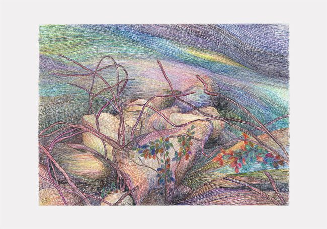 OPERA_2023-3-1