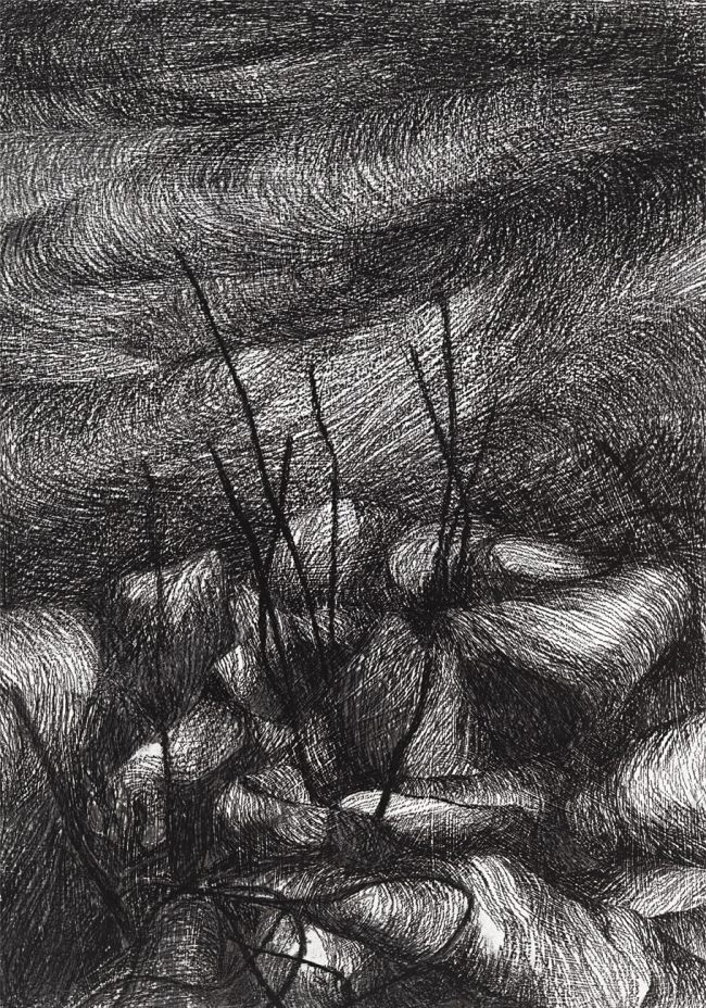 OPERA_2023