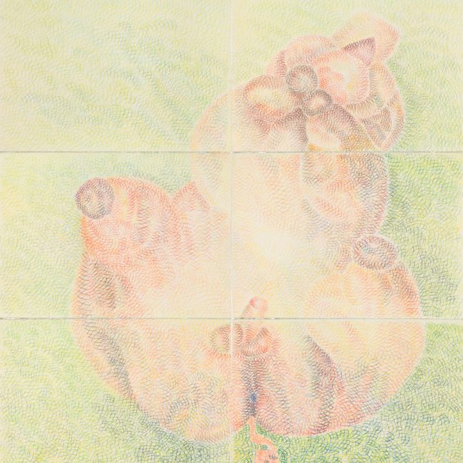 OPERE_1998-7-2